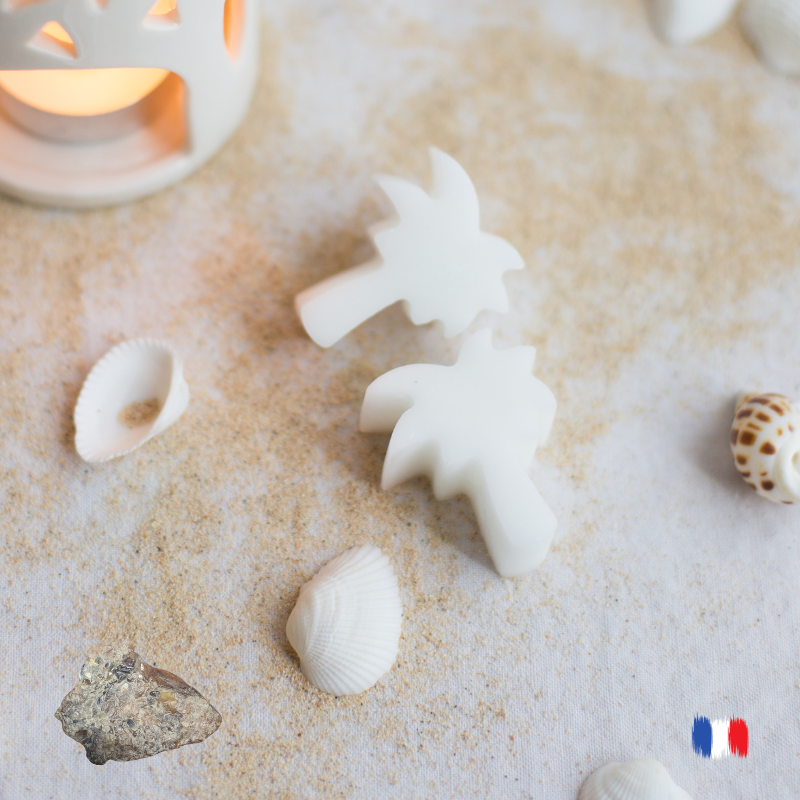 Fondants parfumés AMBRE pour brûle parfums
