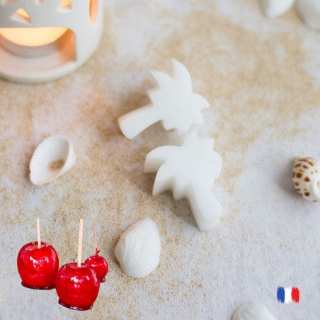 Fondants parfumés Pomme d'amour pour brule parfum