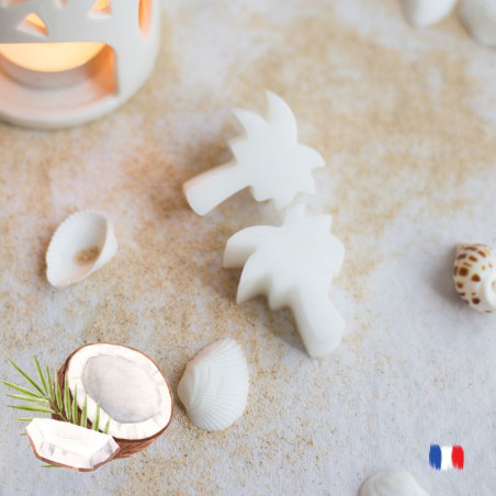 Fondants parfumés noix de coco pour brule parfums
