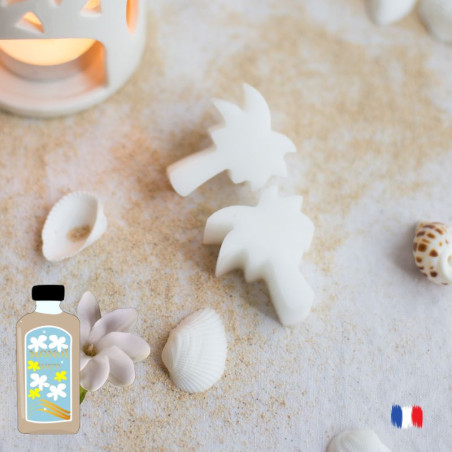 Fondants parfumés Monoï, cires parfumés artisanales