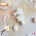Fondants parfumés Vanille