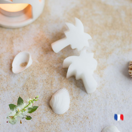 Fondants parfumés au Niaouli fabrication artisanale
