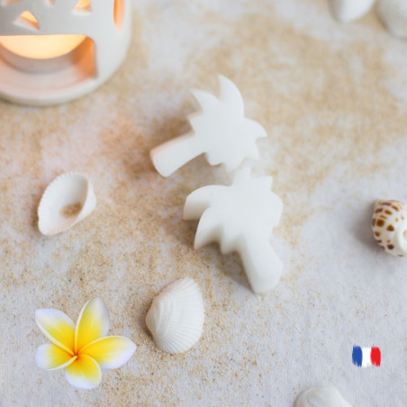 Fondants parfumés Frangipanier pour brule parfums