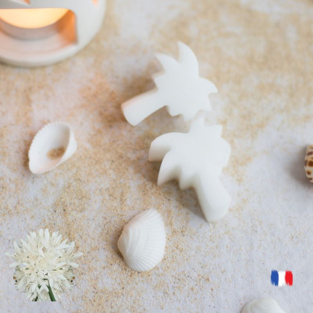 Fondants parfumés Fleur de caféier