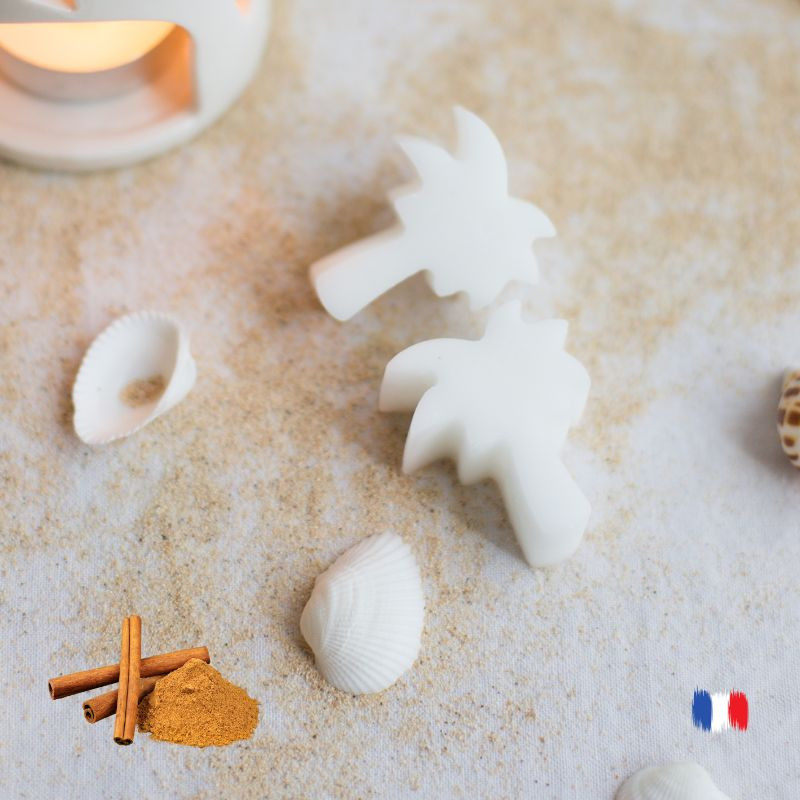 Fondants parfumés CANNELLE pour brûle parfums