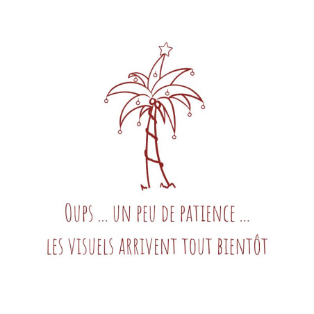 Fondants parfumés trio enchanté de Noël