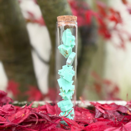 Fondants parfumés SAPIN DE NOEL