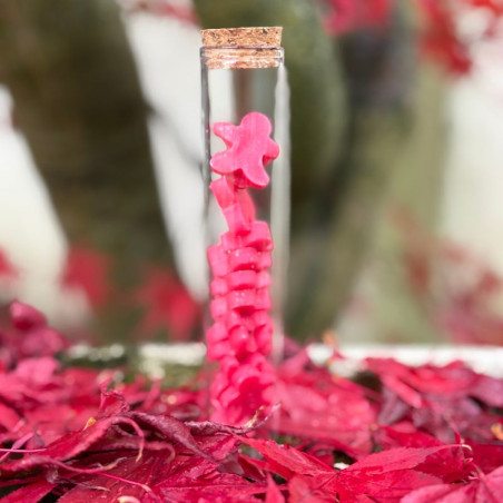 Fondants parfumés PAIN D'EPICES