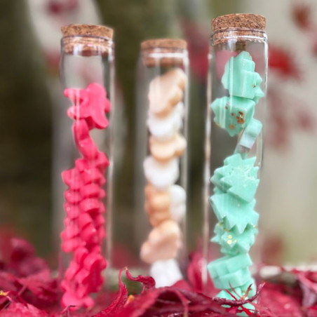 Fondants parfumés trio enchanté 2