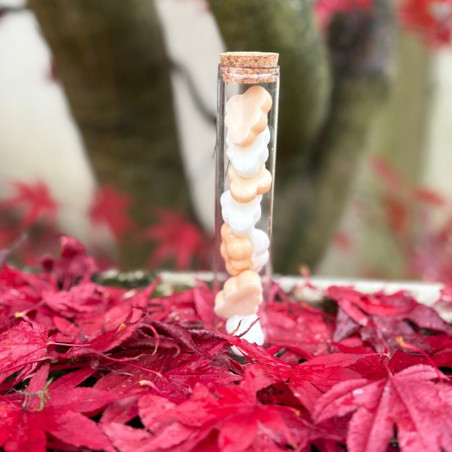 Fondants parfumés trio NUAGE PATATE DOUCE CASSONADE