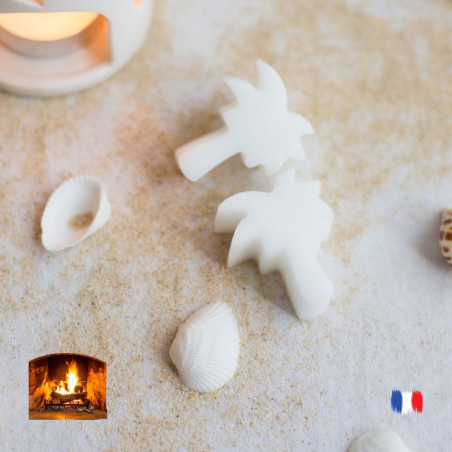 Fondants parfumés Feu de bois