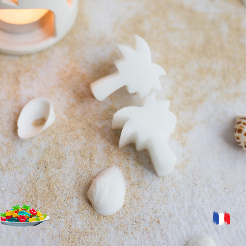 Fondants parfumés bonbons des iles épicés