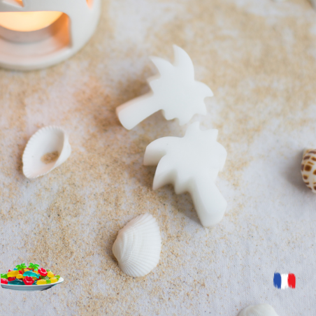 Fondants parfumés bonbons des iles épicés