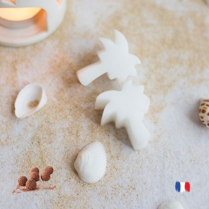 Fondants parfumés au chocolat