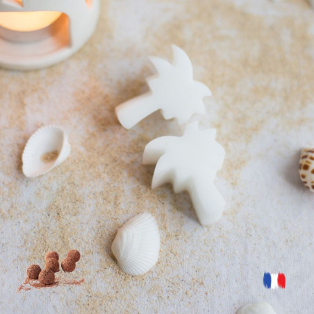 Fondants parfumés au chocolat