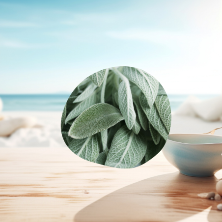 Huile essentielle de sauge sclarée utilisation