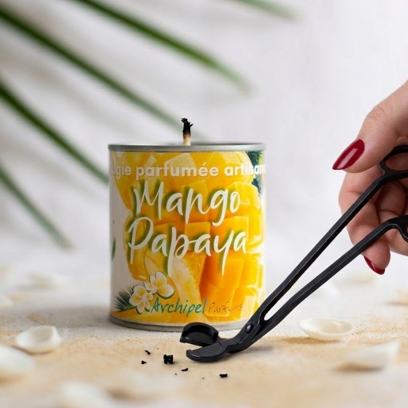 Coupe mèche pour bougie