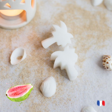 Fondants parfumés goyave