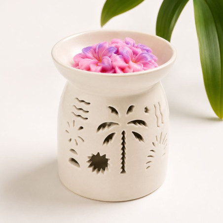 Fondants parfumés frangipanier rose pour brule parfum