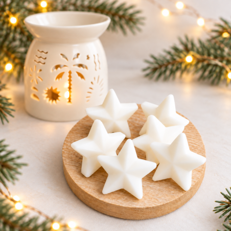 Fondants parfumés de noël étoile feu de bois