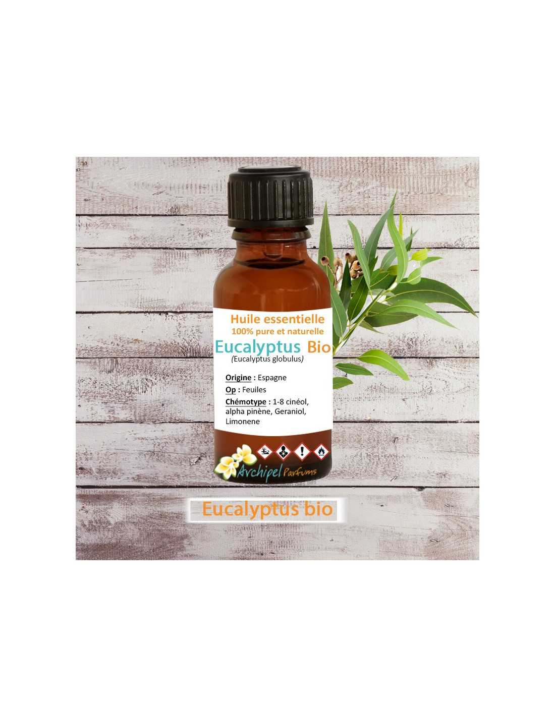 Eucalyptus globulus - Huile essentielle bio - 10ml - Distillerie