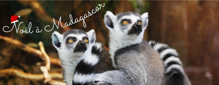 Coffrets cadeaux de Noël à Madagascar