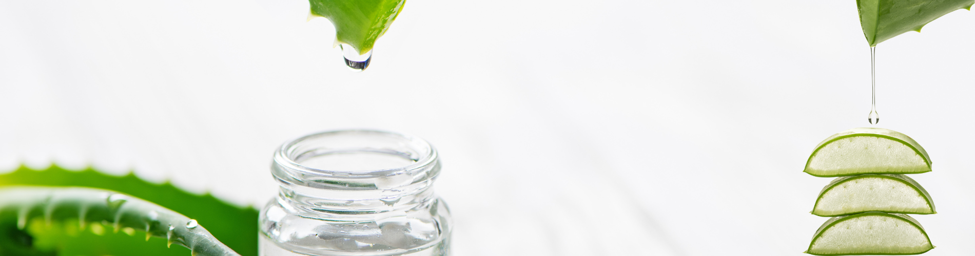 Gel aloe vera bio