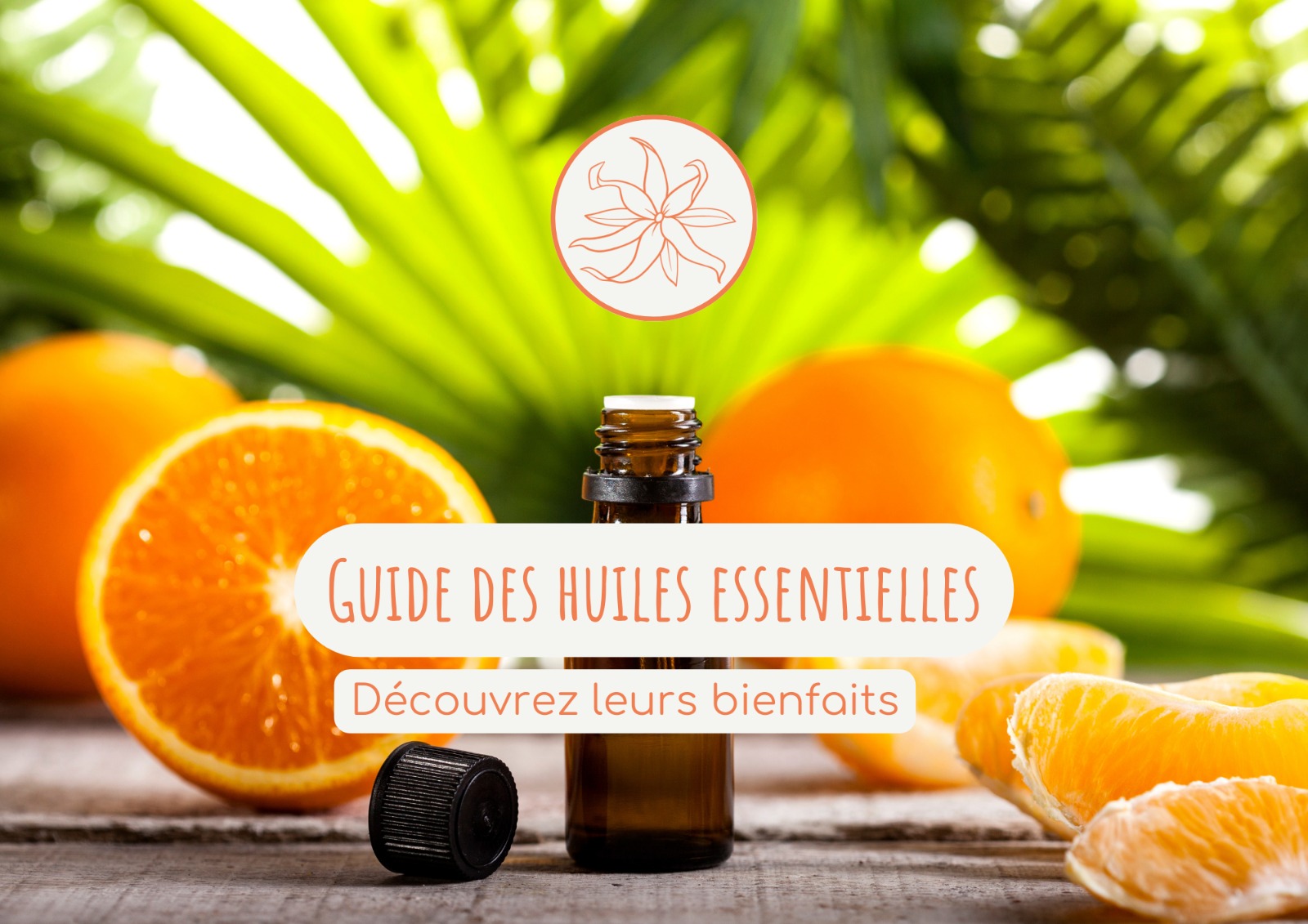 Guide des huiles essentielles