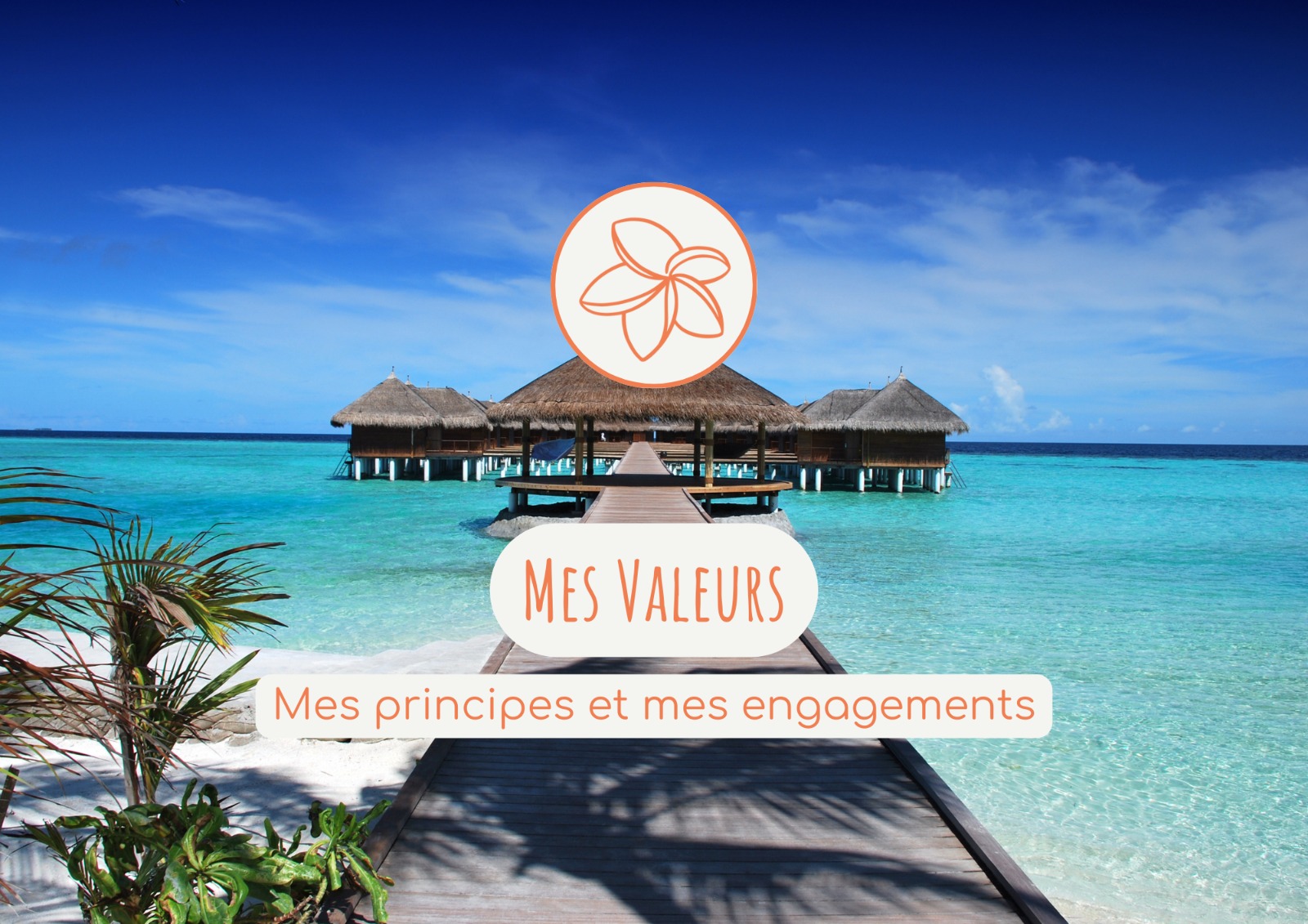 Nos engagements et valeurs