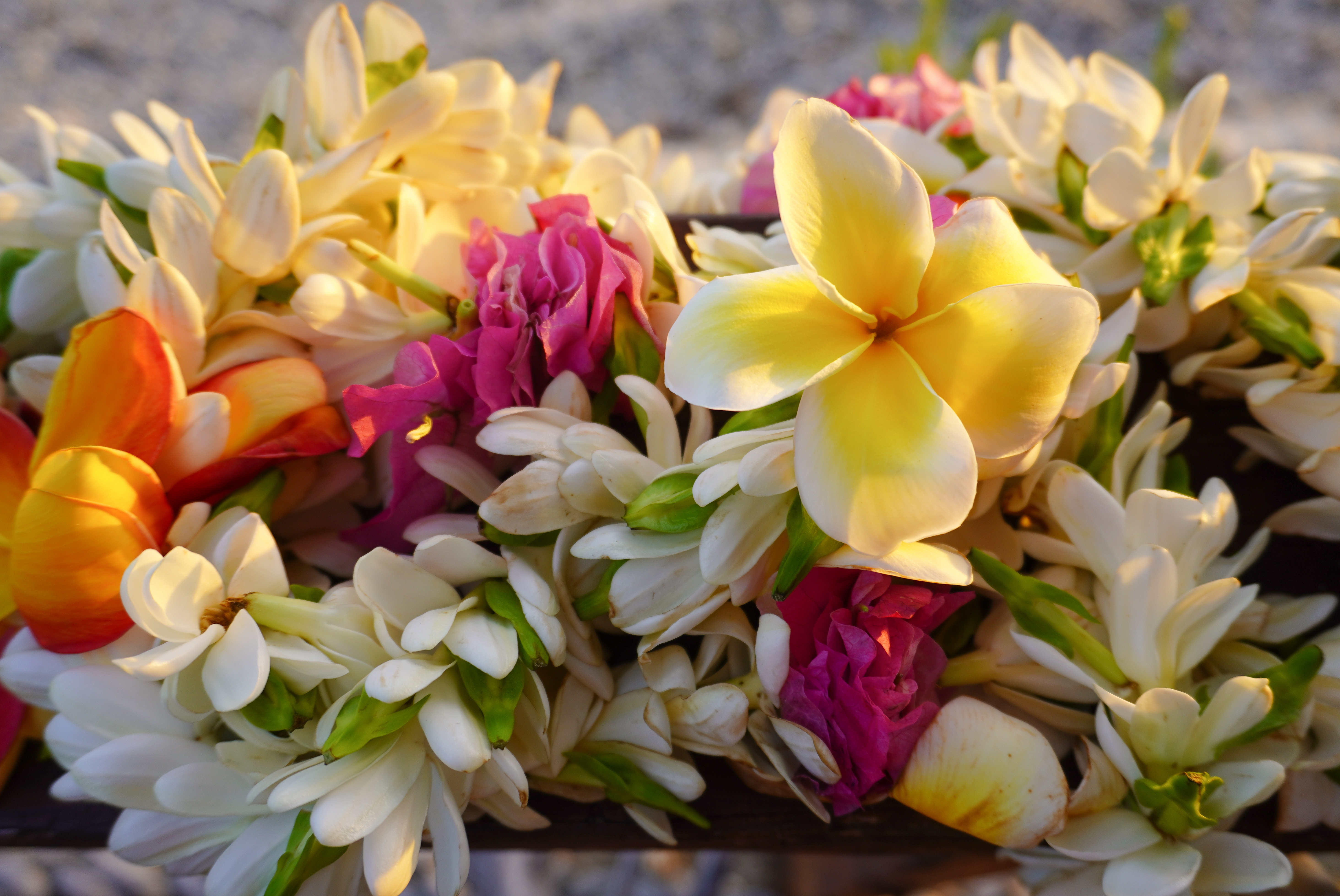 Bougie parfumée fleurs des iles