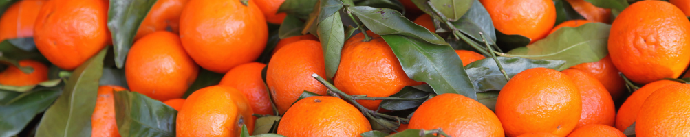 L'huile essentielle de mandarine : un antistress aux senteurs d'agrumes