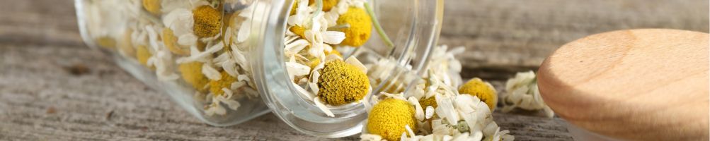 huile essentielle de Camomille noble bio