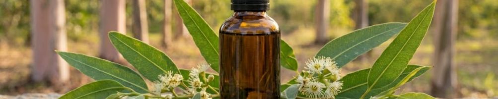 Huile essentielle d'Eucalyptus citronné moustiques