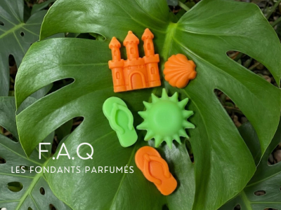 Fondants parfumés : la FAQ complète pour tout comprendre