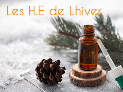 Les huiles essentielles de l'Hiver